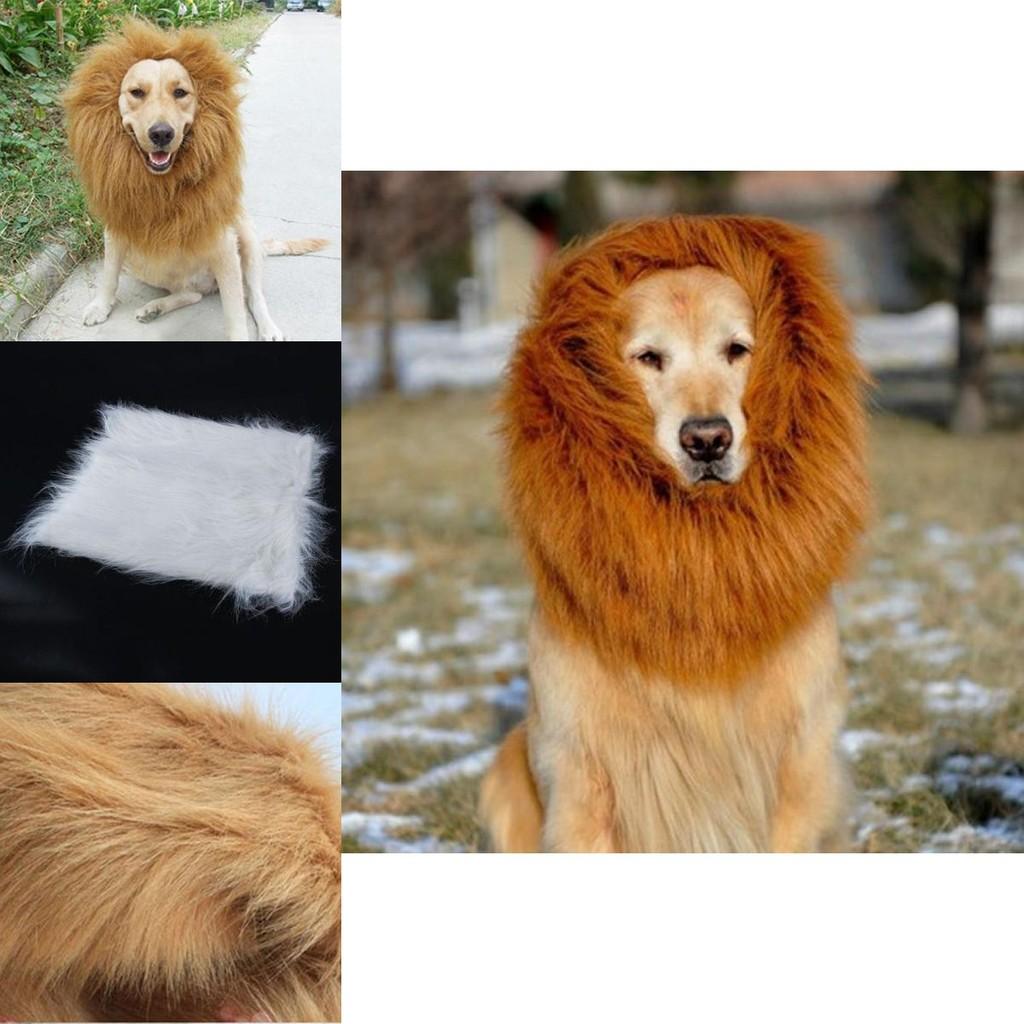 Jungle King Pet Costume Lion Hat With Faux Fur For Small Dogs