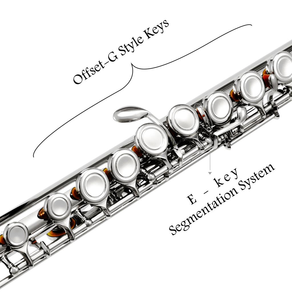 Flauto Traverso Eastar EFL-2 A 16 Chiavi - Per Principianti, Con Custodia E Accessori - Foto 6