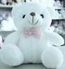 Reynolds Ave 7-Color LED Bear Plush Toy, Perfect for Gifts (Gift Wrapping Available)