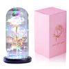 Eternal Multi-Color Rose In Glass Glowing Led Gift Rainbow