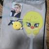 Selling a Stray Kids Admission Gift Set (for the 29th).