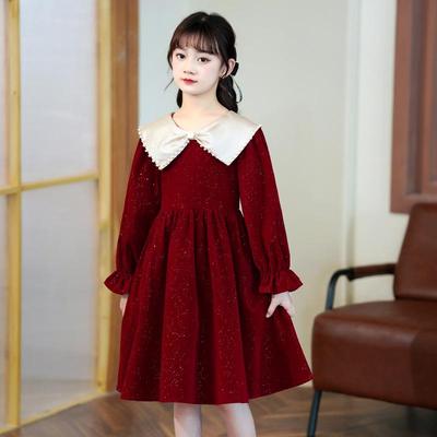 Stylish 2023 Autumn & Winter Girls' Long Sleeve Princess Dress with Velvet