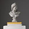 Nordic Style Greco-Roman Classical Bust Sculpture Matte Resin Living Room Decorative Ornament (30 Cm, Grey)