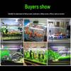SenSen HWK-600P Ultra-Clear Glass Aquarium