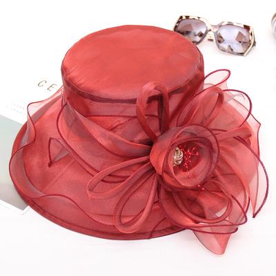 Ladies Hat Bow Mesh Gauze Hat Spring And Summer Travel Beach Sun Hat Big Edge Sun Hat