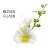 Roopy - Poetic Series Floral Plant Essential Oil Fragrant Body Lotion - Nobodys Rose