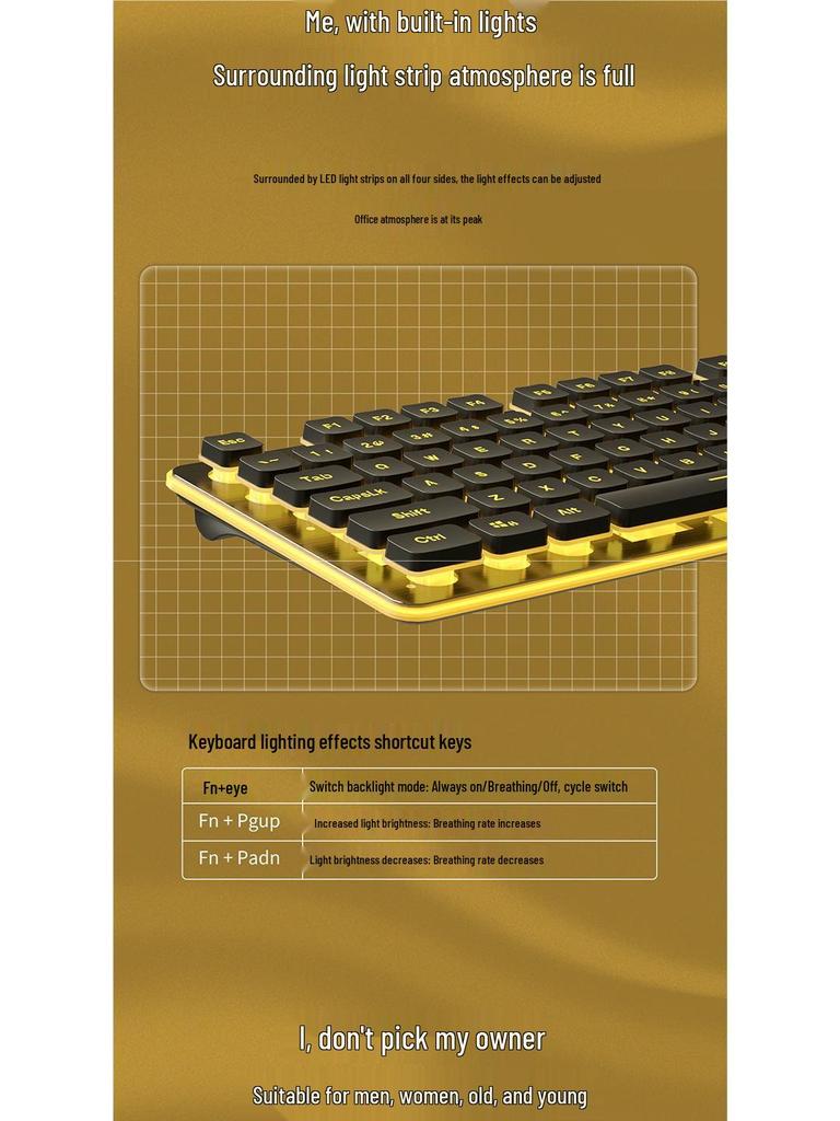 Langtu Silent Wired Keyboard with Backlit Mechanical Feel for Office & Laptop