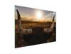 GLASSCHNEIDEBRETT 30x22 SONNE