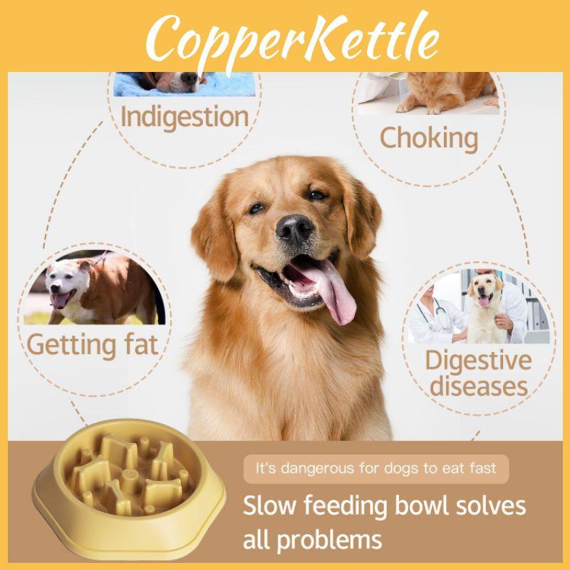 Lebhafter Anti-Überlauf-Haustiernapf Slow-Feeder-Design Für Hunde Und Katzen Mehrere Farben Verfügbar