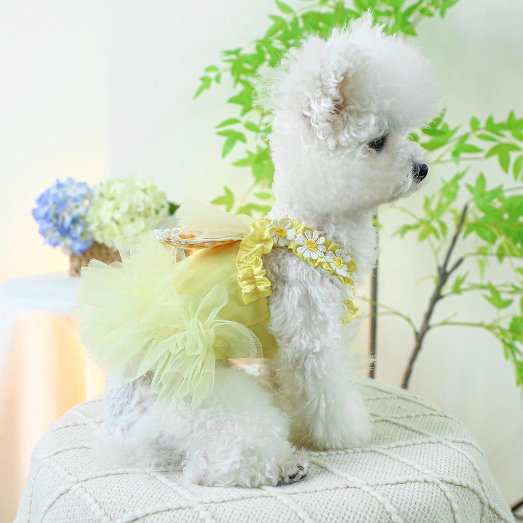 Pet Circle Lace Bobo Pink Princess Dress for Small To Medium Dogs