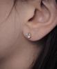 Loveenb [14K Gold] Simple Cubic Point Earrings