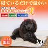 High-Level Far Infrared Warming Mat "Alpha Wave PET" Medium, for Small to Medium-Sized Dogs (Cold Relief, Warmth, Health Maintenance, Dog Care)
