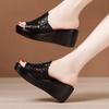 Leisure 2025 spring and summer new solid color fashion outer wear hollow breathable one-character slope heel cool slippers