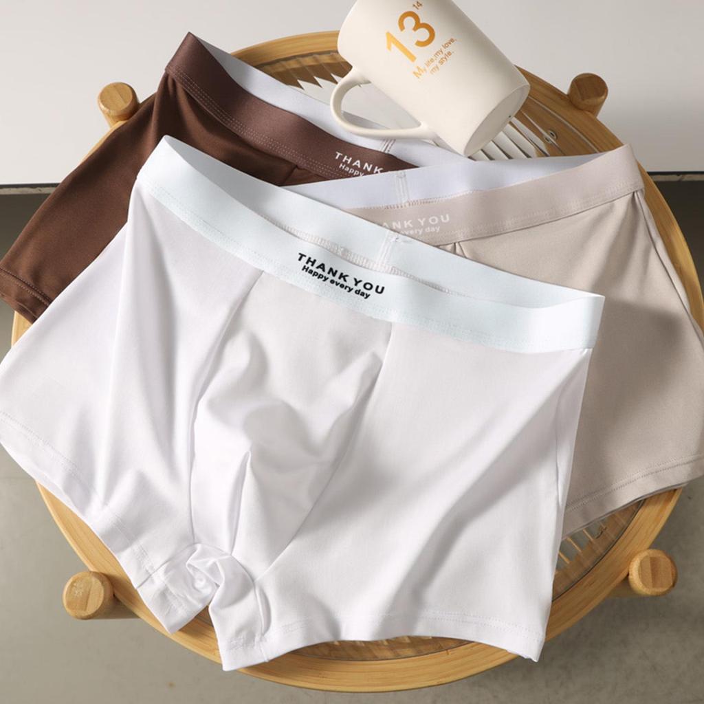 Men's Ice Silk Breathable Summer Boxer Briefs: Youthful, Simple, Comfortable Sportswear