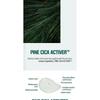 ROUND LAB - Pine Calming Cica Mask