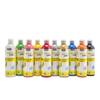 Pebeo - I Create with a Brush from 5 Years Old - Acrylcolor 'festive' Assortment 10 Bottles 500 Ml