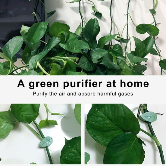 40 Stück Pflanzenkletterwand-Befestigungsclips mit Klebeetiketten Unsichtbare Ranken