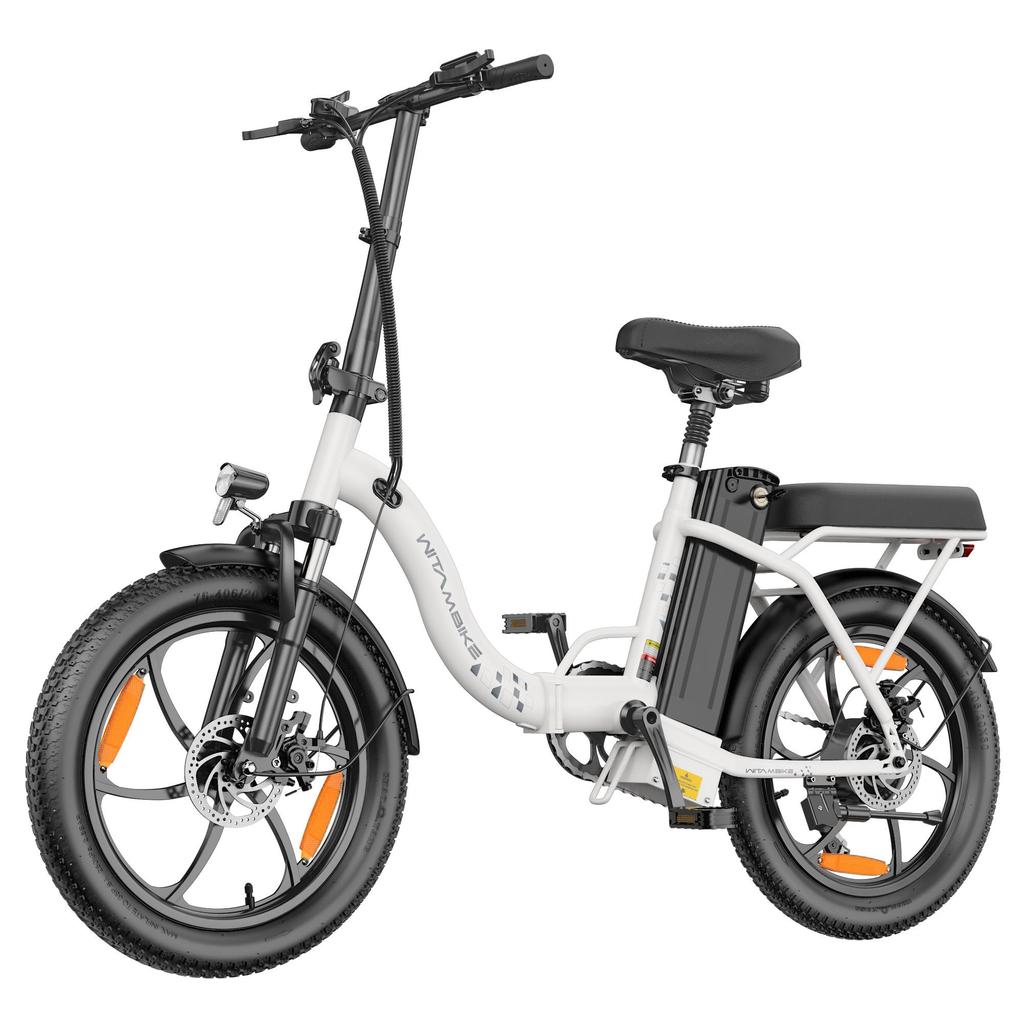 20-inch Folding Electric Bike 250W Motor 48V 16Ah Battery 25km/h 100km Range 20x3.0-inch Fat-Tire Electric Bicycle