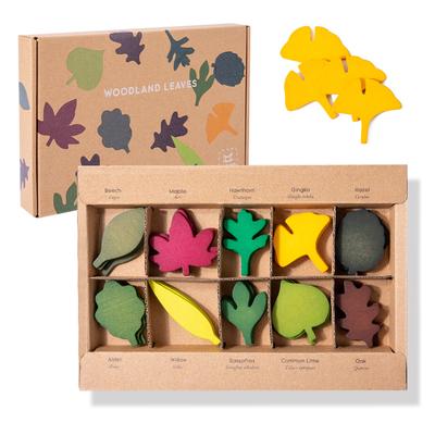 Giocattolo Foglia di Legno Bambino Montessori Scienze Biologiche Simulazione Forma Foglie Foresta Classificazione Giocattolo Sensoriale Educativo a Finale Aperto Regalo