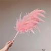 Dried Pampas Grass Natural Pampas Grass Bouquet Large Reed Dried Flowers for Boho Home Decor
