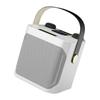 Wireless Bluetooth Speaker Dual Microphone Portable Karaoke Speaker Home Theater