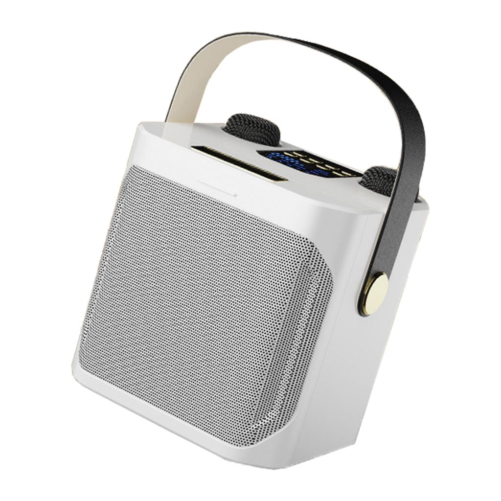Wireless Bluetooth Speaker Dual Microphone Portable Karaoke Speaker Home Theater