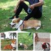 5M Retractable Dog Leash Automatic Flexible Dog Puppy Cat Traction Rope Belt Dog Leash for Small Medium Dogs Pet Products T3M0
