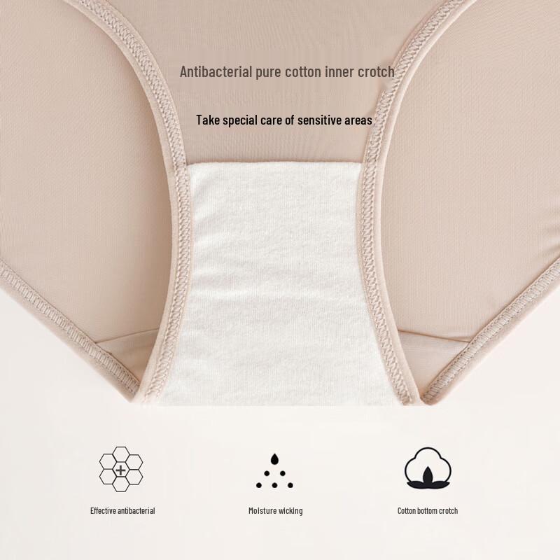 Christies Women's Antibacterial Ice Silk Seamless Briefs 4-Pack