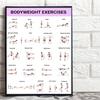 3Pcs Home Workout Poster Set with Dumbbell Bodyweight Barbell Exercises Full Body Strength Training Guide for Beginners Advanced Laminated Fitness