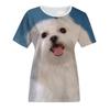 Women's Fashion Casual  Digital Print With Simulation  Cat And Dog Short-sleeved  T-shirt Top