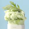 Beauty of Joseon Matte Sun Stick: Mugwort+Camelia 18g
