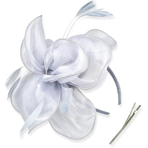 DRESHOW Fascinators Hat Tea Party Headwear Ribbons Feathers on a Headband and a Clip for Women