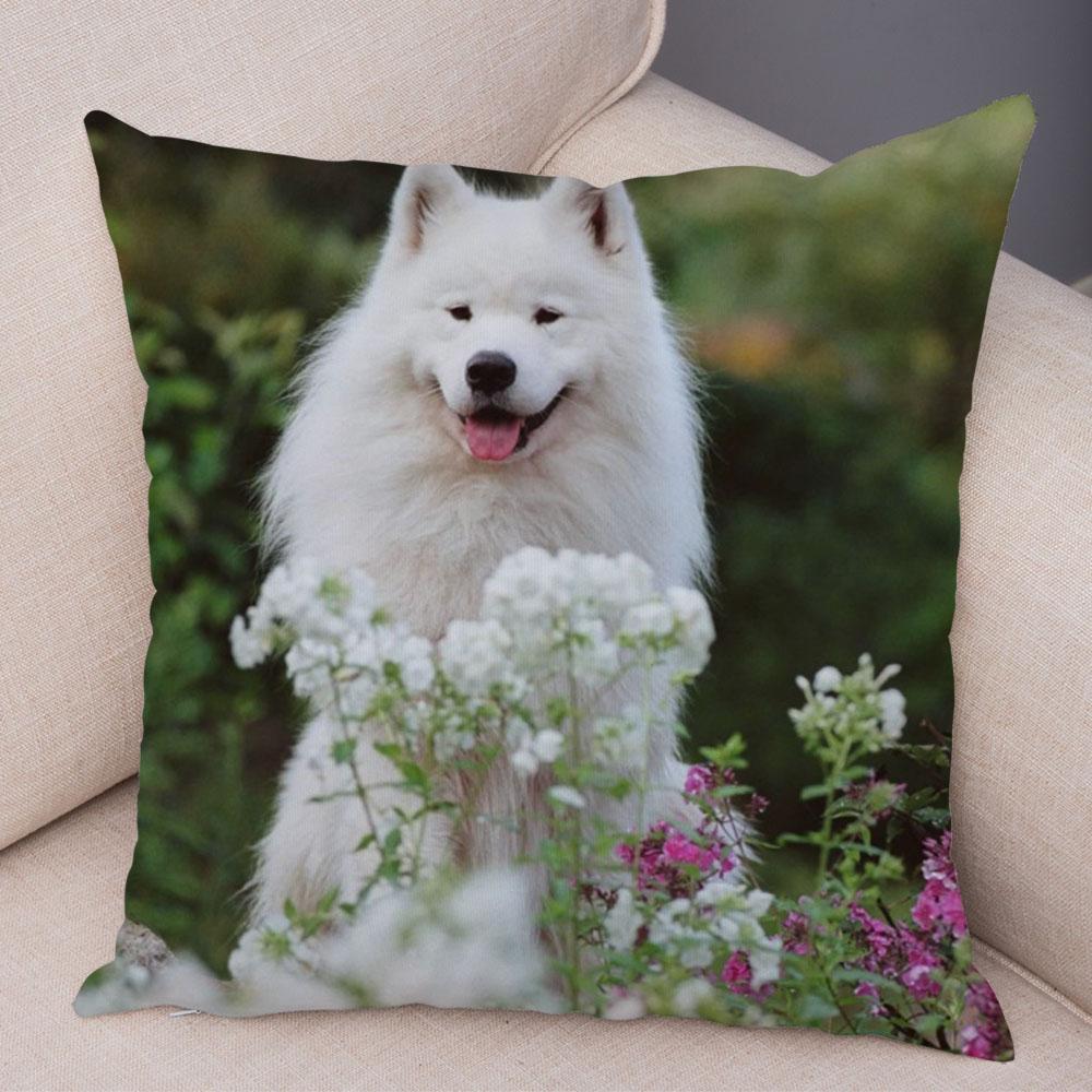 50 Stil Husă de Pernă Câine Alb Drăguț Samoyed Decor Husă de Pernă Animal de Companie Iubitor Husă de Pernă Moale de Pluș pentru Canapé Cameră Copii