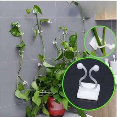 10Pc/set Plastic Invisible Wall Vines Fixture Wall Sticky Hook Self Adhesive Vines Fixing Clip Vines Holder Garden Home Supports