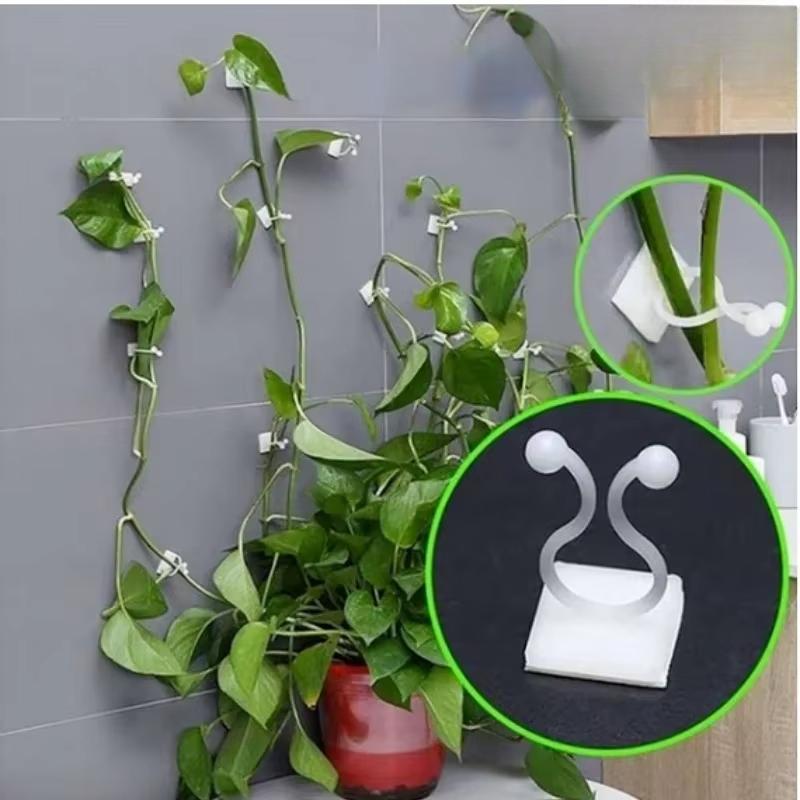 10Pc/set Plastic Invisible Wall Vines Fixture Wall Sticky Hook Self Adhesive Vines Fixing Clip Vines Holder Garden Home Supports