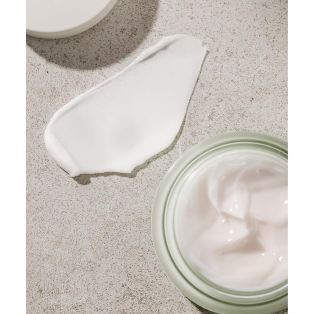 Mizon Fito Plump Collagen Night Cream 50ml
