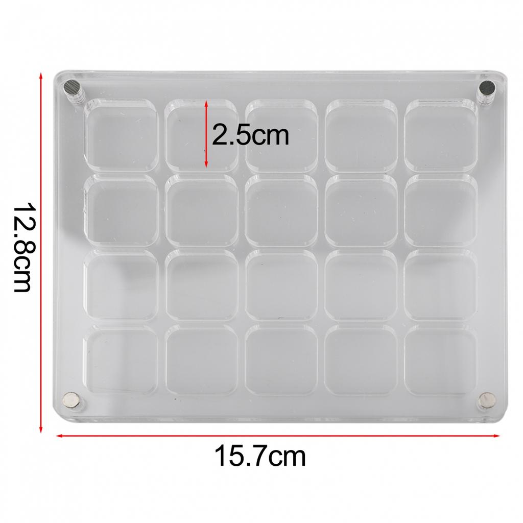 Transparent Mini Shell Storage Solution in Acrylic Material