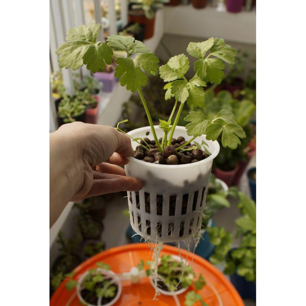 20pcs Hydroponic Mesh Pot Vegetable Planting Basket Soilless Cultivation Equipment Aeroponic Plastic Plant Rooter Net Cup