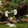 Plüsche Adler für Tierliebhaber Realistische Weißkopfpuppe, Stofftier Spielzeug mit faltbarem dekorativem Zierflügeln, Lebensechter Vogel Plüschtier Heimdeko Und