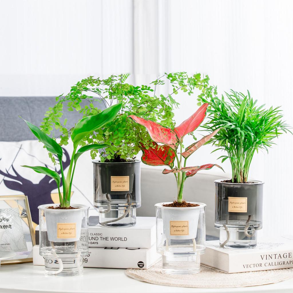 Self Absorbing Flowerpot Transparent Hydroponic Plant Vase Anti Fall Plastic Flowerpot Spring Seedling Planting Pot Garden Tools