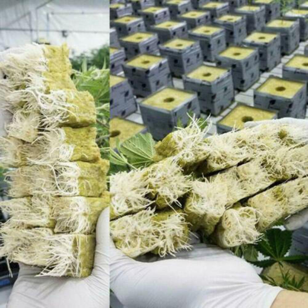 50/100Pcs Stonewool Hydroponic Grow Media Cubes Plant Cubes Soilless Substrate Rock Wool Plug Nursery Block