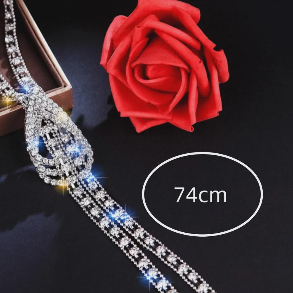 Elegant Claw Chain Long Necklace Simple Versatile High End Luxury for Women Perfect for Autumn and Winter Styles