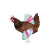 Chicken Skirt Pet Skirt Chicken Ballet Skirt Princess Mesh Skirt Colorful Chicken Skirt