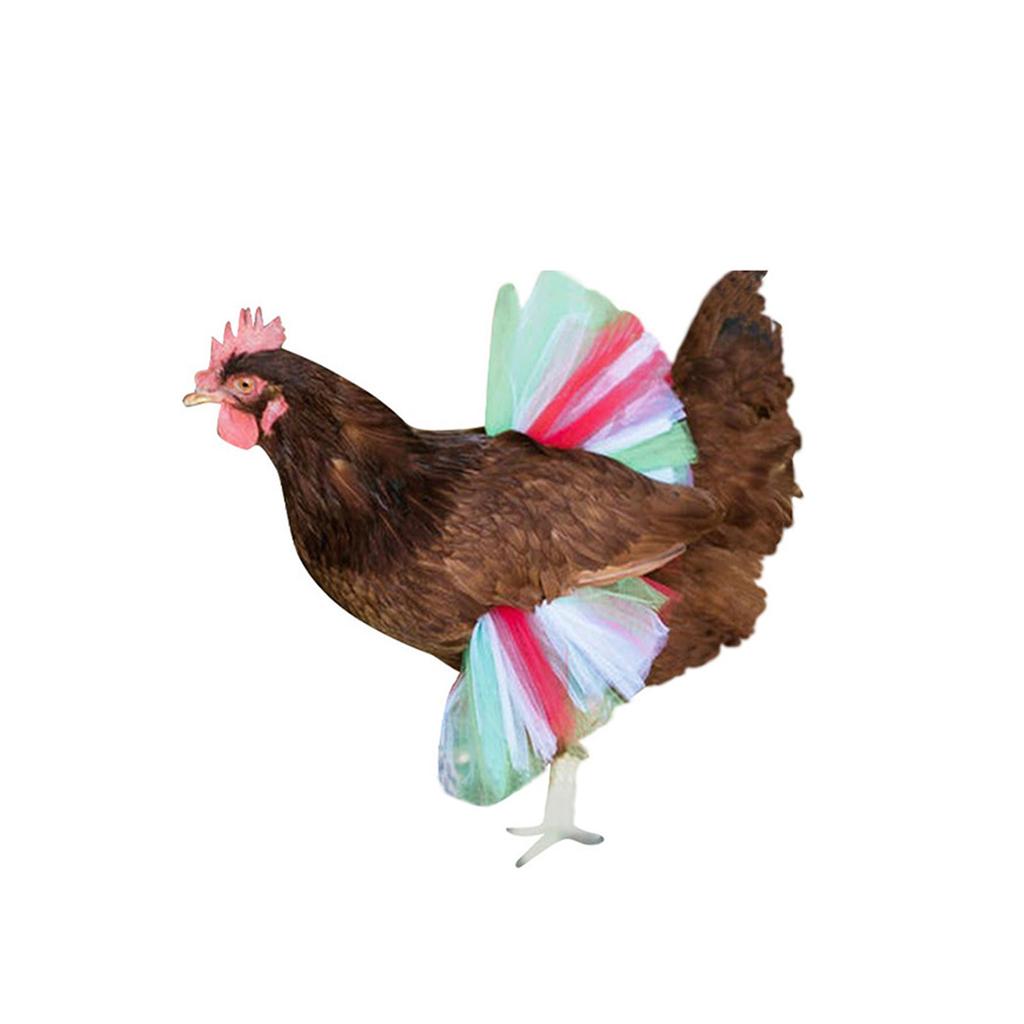 Chicken Skirt Pet Skirt Chicken Ballet Skirt Princess Mesh Skirt Colorful Chicken Skirt