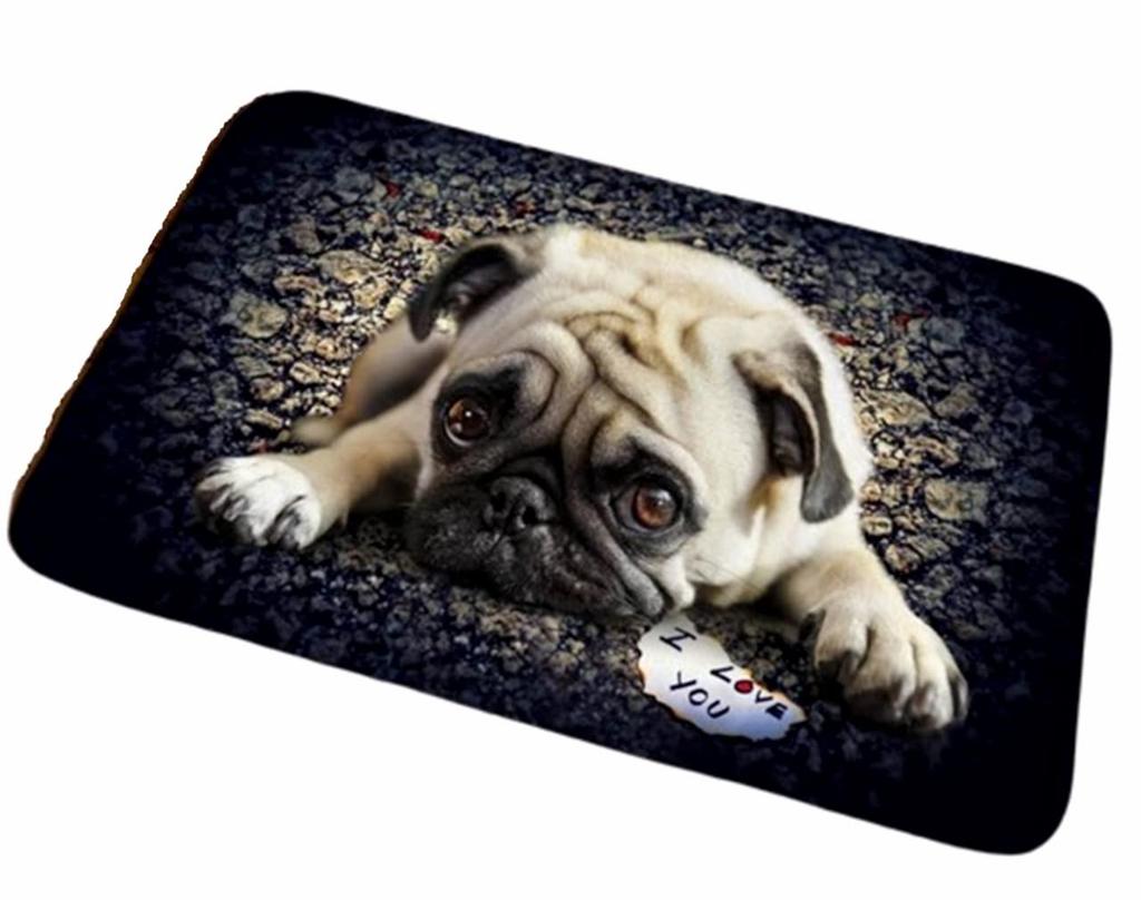 Mat Rug Floor Indoor Lightweight Thin Compact Pet Dog Pug 40 X 60 (Night Walk)