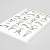 Yousheng Set de 3 Bastoane Pilates Poster pentru Antrenament Complet al Corpului Picior Șold Braț Spate Diagramă Exerciții de Postură pentru Sală de Acasă Ghid Fitness Laminat pentru Începători &