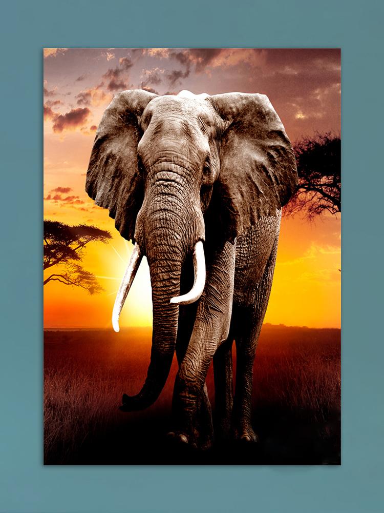 African Elephants Posters Modern Home Decor Animal Canvas Prints Wall Art Pictures for Living Room Interior Decorative Painting