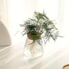 Simple modern transparent glass hydroponic plant stand vase office desktop ornament home decoration flower pot