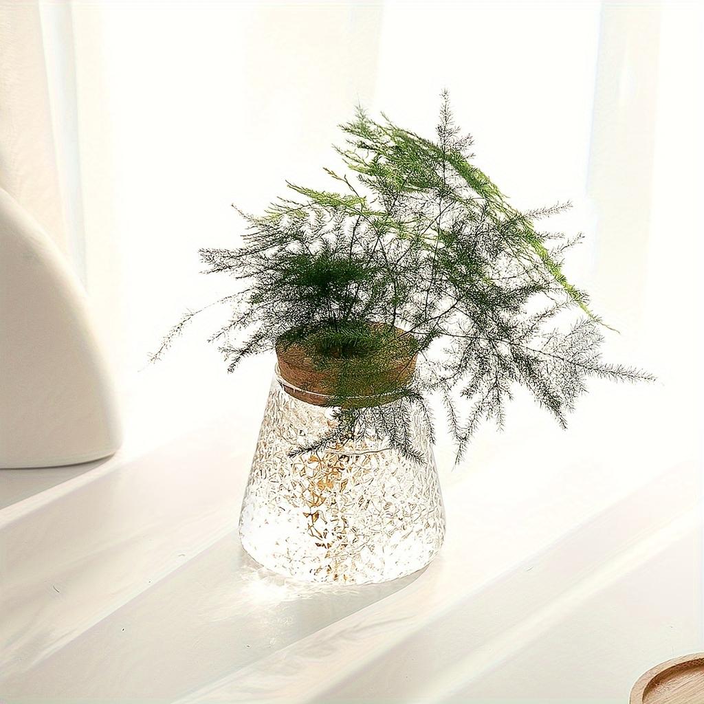 Simple modern transparent glass hydroponic plant stand vase office desktop ornament home decoration flower pot