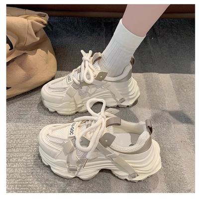 Mode Dames Chunky Platform Sneakers Lente Nieuw Dikke Zolen Comfort Dikke Zool Schoenen Dames Dikke Zolen Vetersluiting Casual Schoenen